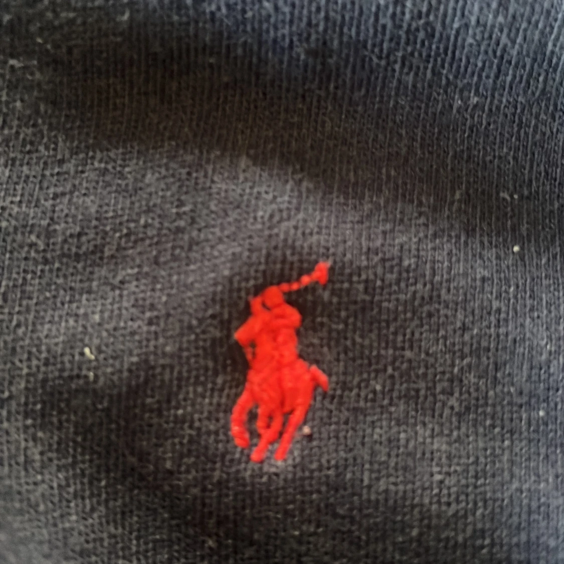 Mörkblå hoodie från Polo Ralph Lauren - 1