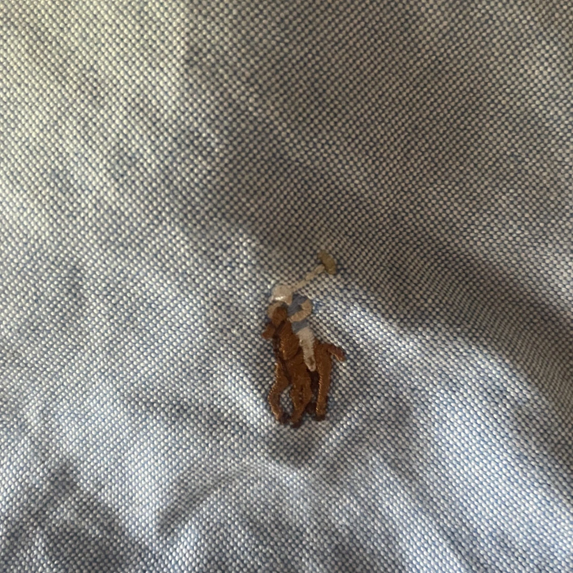 Blå skjorta från Ralph Lauren - 2