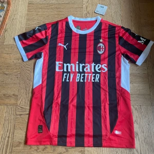 AC Milan Puma fotbollströja röd/svart - AC Milan officiell matchtröja från Puma med klassiska röda och svarta ränder, vit krage och detaljer. Broderat klubbmärke och Puma-logga på bröstet, samt sponsortryck framtill. Tillverkad i lätt och ventilerande polyester för maximal komfort.