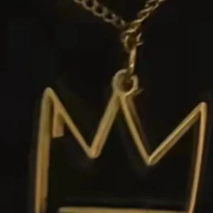 Söker hov1 halsband  - Betalar Max 500kr ❤️❤️