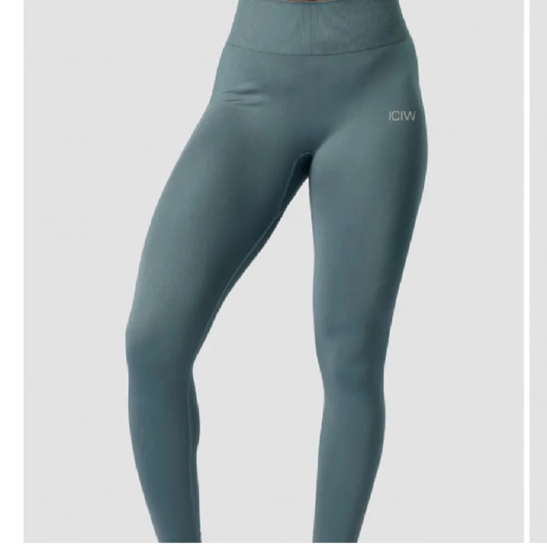 define seamless tights jungle green