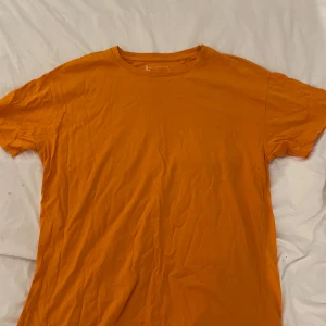 Orange t-shirt från FSBN Sister - Snygg orange t-shirt från FSBN Sister i storlek L. Modellen är klassisk med rund hals och korta ärmar, helt utan mönster eller tryck. Tillverkad i mjuk bomull som är skön mot huden. Perfekt för dig som gillar färgstarka och enkla plagg.