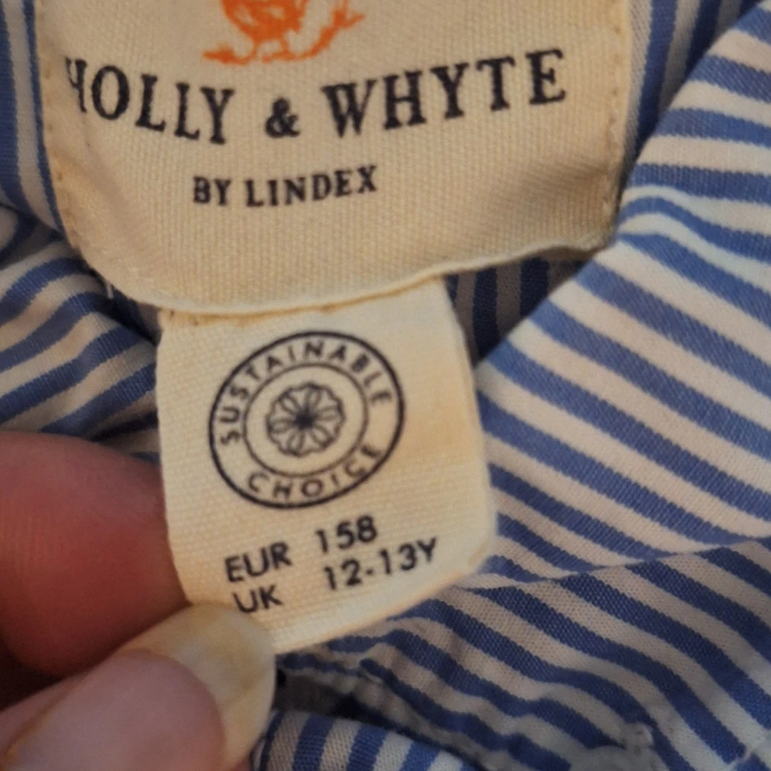 Blåvit randig skjorta från Holly & Whyte - 2