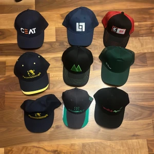 Samling av kepsar med olika loggor och färger - Nio kepsar i olika färger och modeller, flera med broderade eller tryckta loggor. Färgerna inkluderar svart, blå, röd, grön och grå. Några kepsar har mesh-bakstycke och kontrastfärgade detaljer. Märken som CEAT, Pottinger och Swedish Agro syns tydligt. 30kr styck