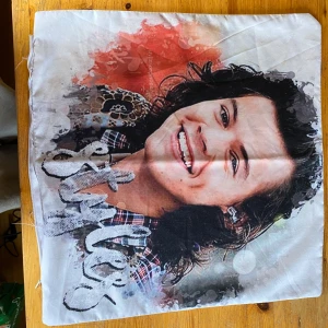 Örngott Harry styles - Örngott, 45x45 cm. Aldrig använt.  Köpare står för frakten! 