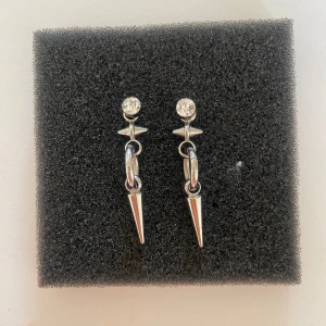 Silvriga örhängen med ring och spetsdetalj - Säljer ett par coola silvriga örhängen med glittrande sten upptill, ring i mitten och en spetsig hängande detalj. Rostfria och superfina! Örhängena har olika pluppar (som man ser i 3 bilden) men det är inget man märker när man har på sig de💗