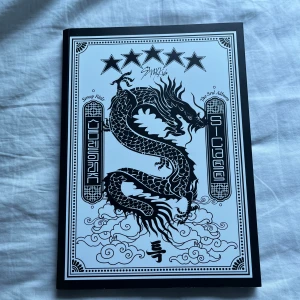 Straykids 5star Album - Allt på bilderna ingår i priset. Inga skador