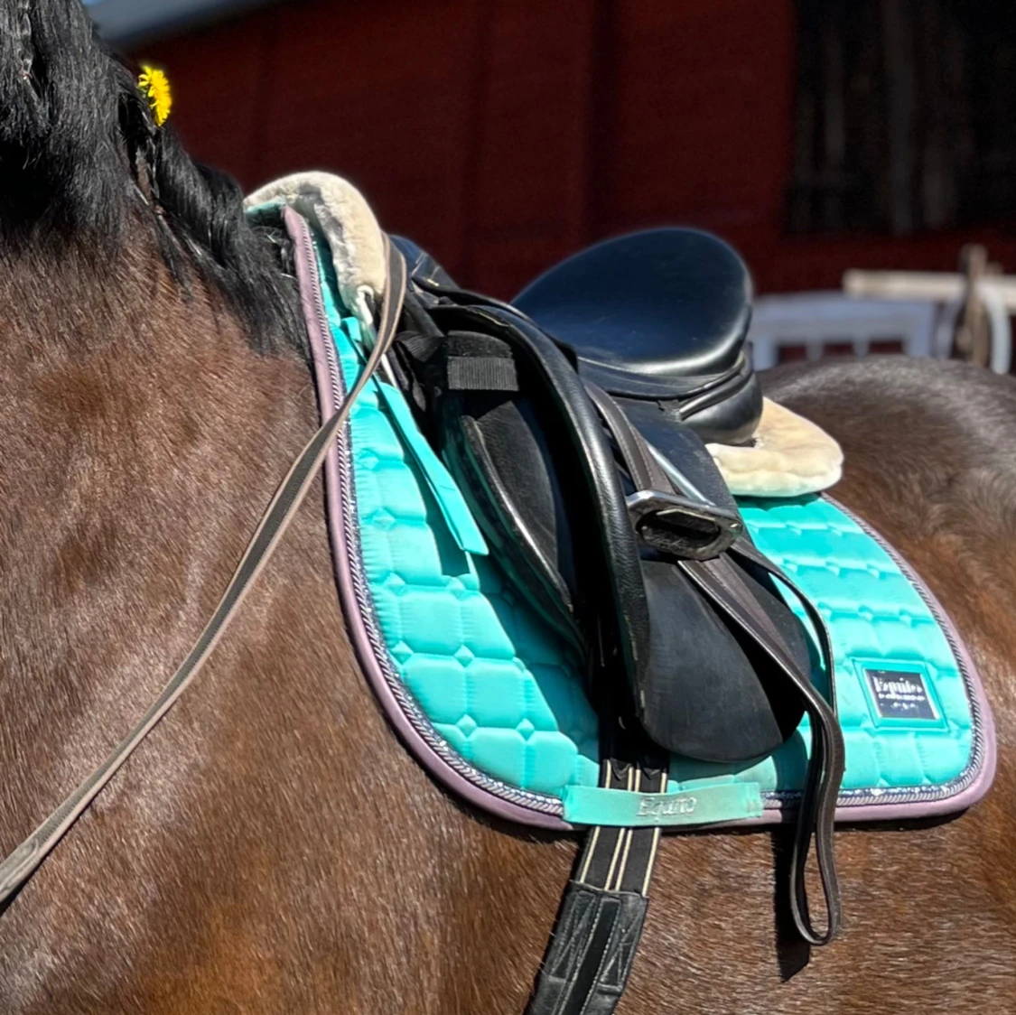 Säljer detta hopp schabrak i storlek full. 