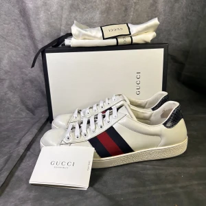 Gucci ace sneakers - Mycket fint skick | Size uk 7 vilket motsvarar 41  | Allt og medföljer | fraktar spårbart inom 24 timmar med PostNord eller instabox