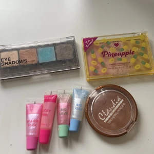 Sminkset med ögonskuggor och bronzer och läppglans - Ett sminkset med en ögonskuggspalett i fyra färger: beige, brun, blå och grå. Inkluderar också en bronzer från Claudia och fyra läppglans i olika färger: rosa, röd, grön och blå. Dessutom finns en higlighter från revolution