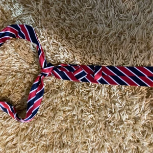 Randig slips i rött och blått - Snyggt randigt bälte i rött och blått med vita detaljer. Perfekt för att ge en färgklick till din outfit. Bältet har en klassisk design med diagonala ränder.