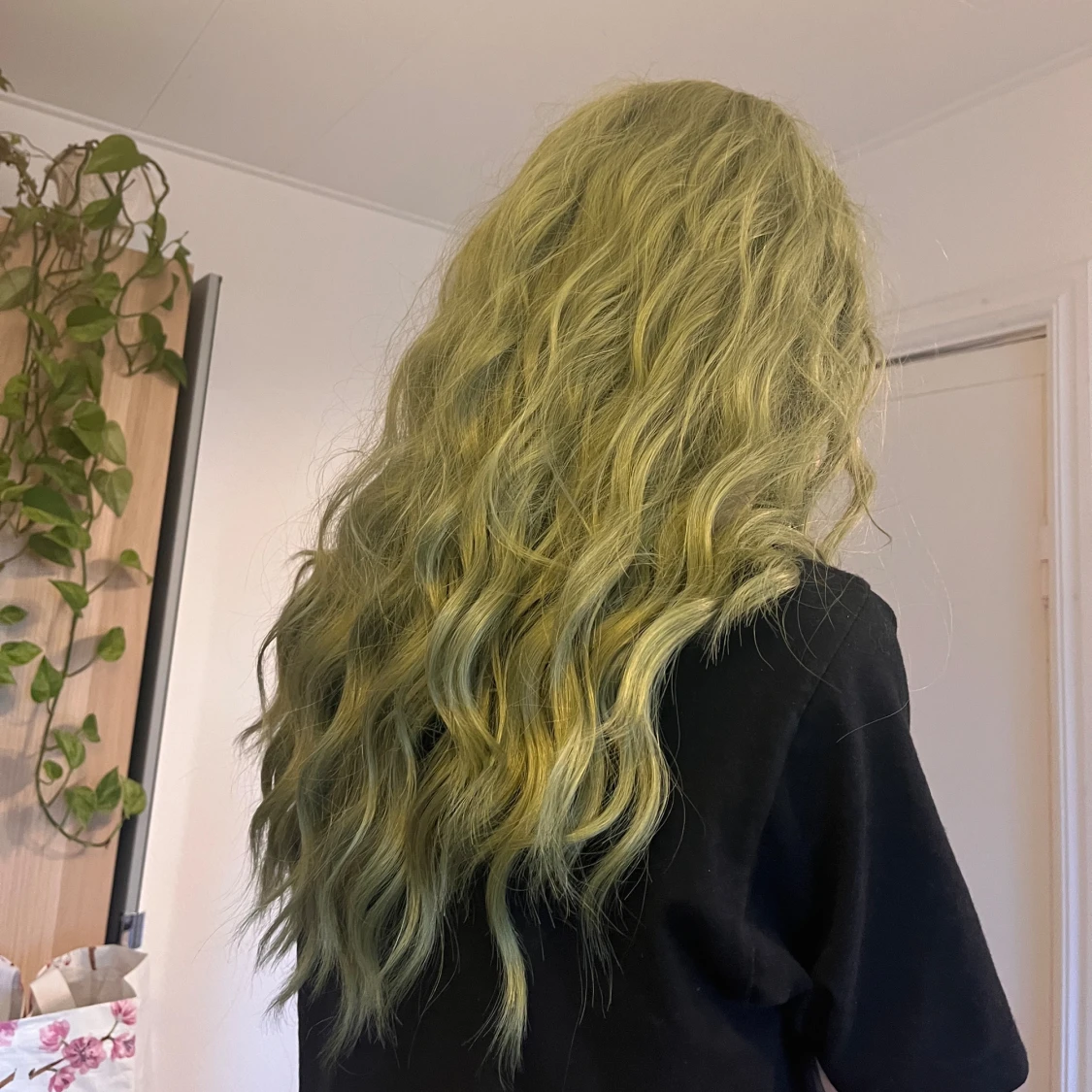 Lång grön peruk  - 90