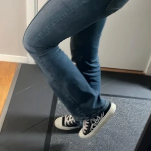 Vivienne westwood skor sneakers - Säljer mina superfina Vivienne Westwood sneakers då dom är lite för stora för mig. Brukar ha storlek 38 och domhär är 39. Knappt använda och har inga slitningar. Nypris var ca. 3000