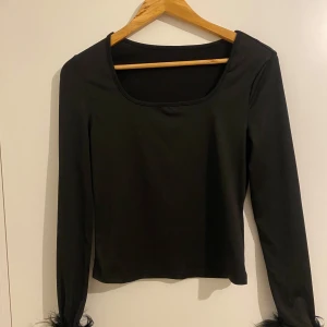 Svart långärmad topp med fjäderdetaljer - Snygg svart långärmad topp med fjäderdetaljer vid ärmsluten. Perfekt för en utekväll eller fest. Toppen har en enkel och stilren design med en rund halsringning.