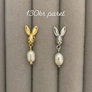 Örhängen  - Frakt 18kr ❤️