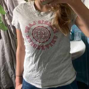 Grå T-shirt, S - Grå morris lady t-shirt i storlek S. Skönt material och bra skick!