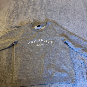 Grå sweatshirt från Gina Tricot - Säljer en grå sweatshirt från Gina Tricot med texten 'University Champions' på framsidan. Tröjan har långa ärmar och en rund halsringning. Perfekt för en avslappnad stil. Liten i storleken 