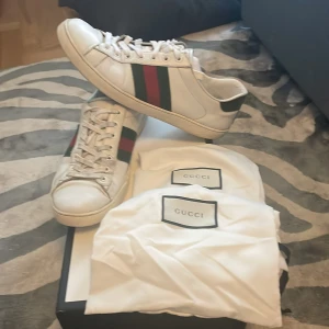 Gucci Ace - Tjena! Säljer dessa sjukt feta gucci ace skor som är otroligt snygga å trendiga. Nypris cirka 8000 mitt pris är 1499!!! Skick 7/10 så bra skick! Hör av er om ni undrar något!✅