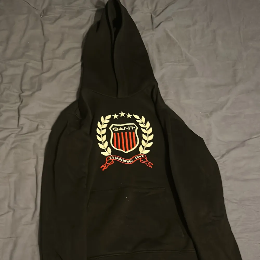 Säljer en näst intill oanvänd gång hoodie i väldigt bra skick. Hör av er vid intresse:) . Hoodies.