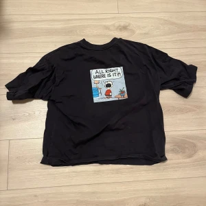 Svart t-shirt med tryck - Säljer en svart t-shirt med ett tryck av en tecknad figur och texten 'ALL RIGHT WHERE IS IT?'. T-shirten har en avslappnad passform och korta ärmar. Perfekt för en casual look.