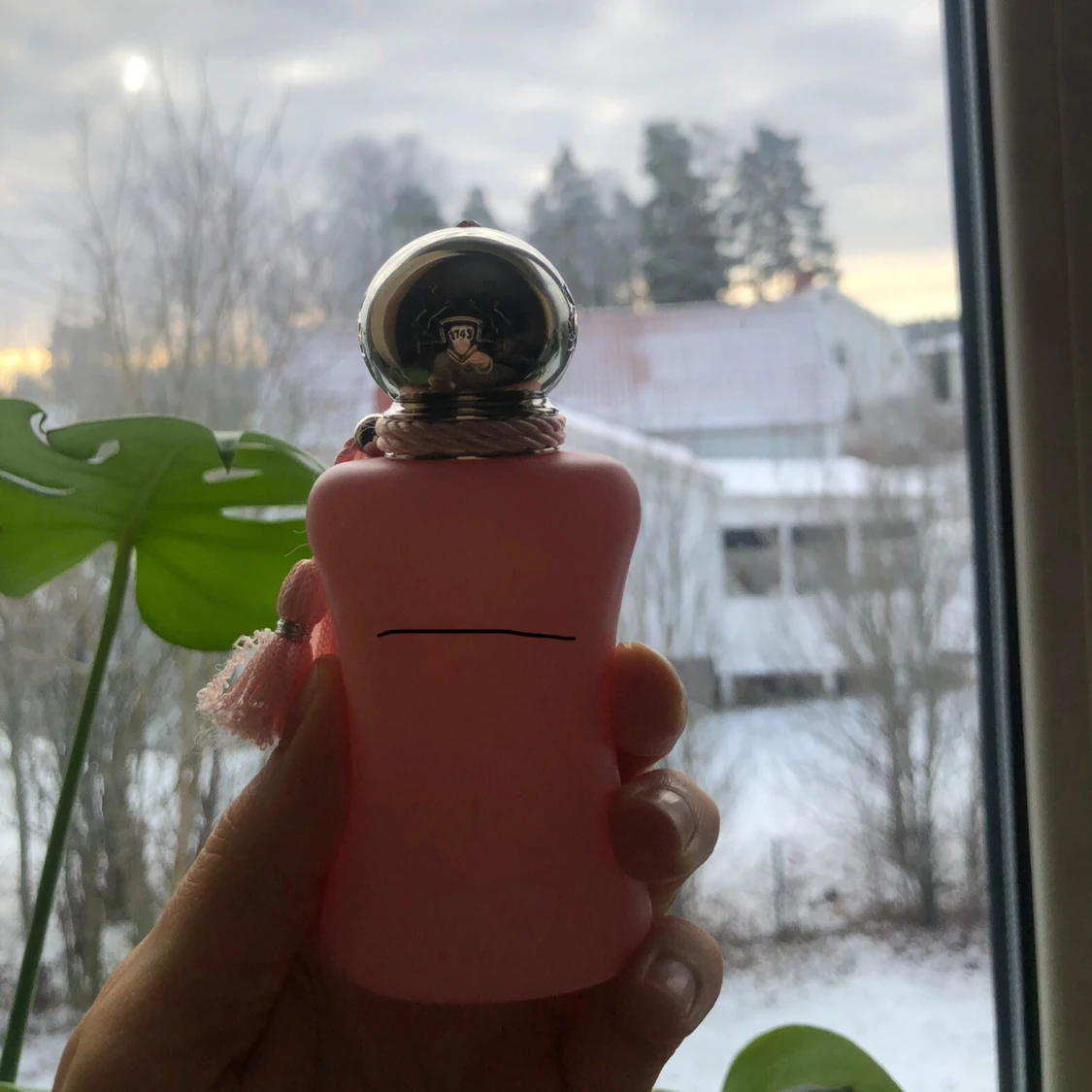 Delina Exclusif Parfums de Marly - 1