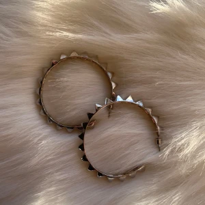 Örhängen  - Så snygga, aldrig använda