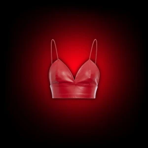 Röd topp i skinn - Röd topp i skinn med smala axelband, passade verkligen inte min stil och hitta när jag rensade ut min garderob, från SHEIN. pälsdjur och hö i hemmet, men rökfritt. Nypris: 80