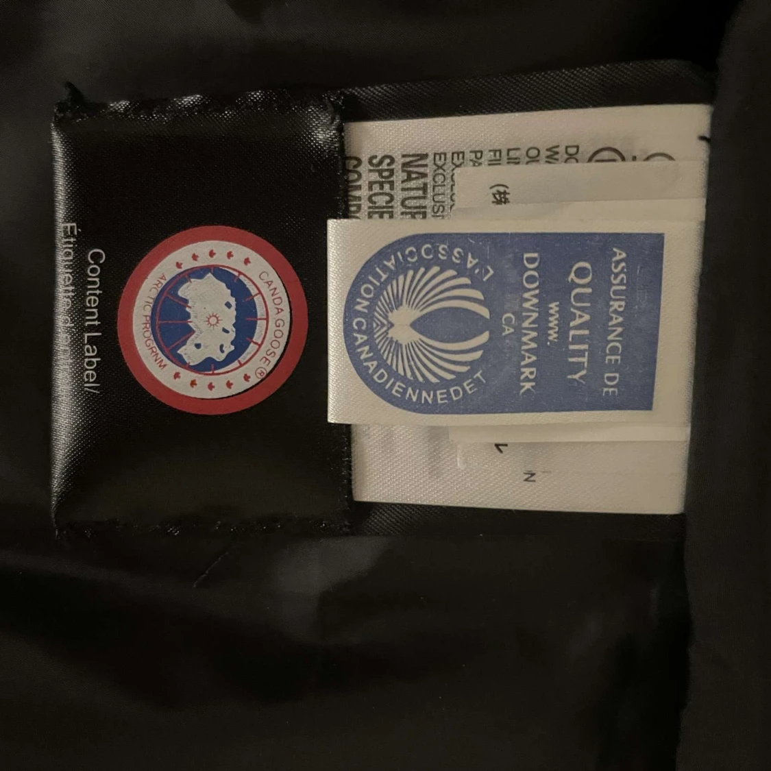 Canada goose väst - 93