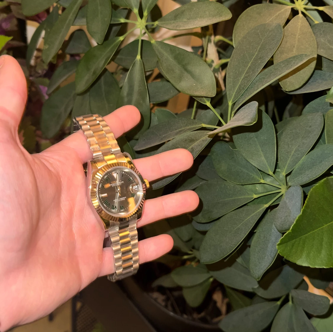 Seiko mod wimbledon - 4