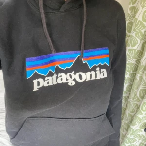 Patagonia  - Tjocktröjan från patagonia i fint skick, litet hål på ena armen men inget som märks av eller stör (se bild 4). Storlek small.