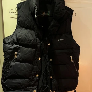 Svart dunväst från Peak Performance - Säljer en svart dunväst från Peak Performance i mycket bra skick. Västen har dragkedja och knappar framtill samt praktiska fickor med dragkedja. Perfekt med en skön tröja när du vill hålla dig varm och stilren. Passar både till vardags och utomhusaktiviteter.