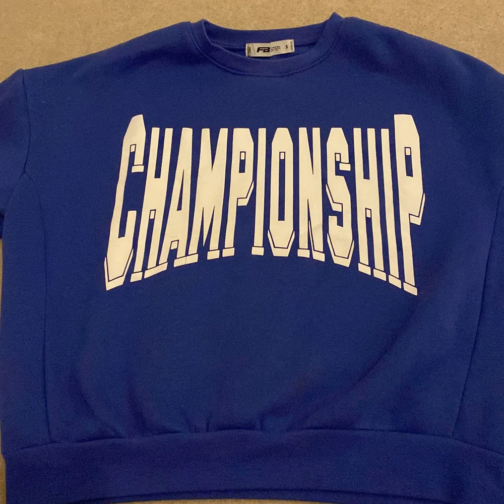 Säljer en cool blå sweatshirt från F3 med stor vit text 'CHAMPIONSHIP' på framsidan. Tröjan har långa ärmar och är perfekt för en avslappnad stil. Den är i bra skick och passar perfekt för höst och vår.. Hoodies.