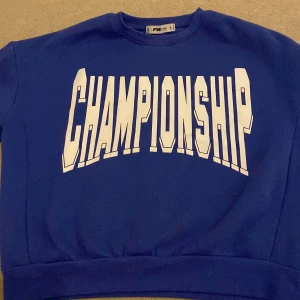 Blå sweatshirt med texten 'CHAMPIONSHIP' - Säljer en cool blå sweatshirt från F3 med stor vit text 'CHAMPIONSHIP' på framsidan. Tröjan har långa ärmar och är perfekt för en avslappnad stil. Den är i bra skick och passar perfekt för höst och vår.