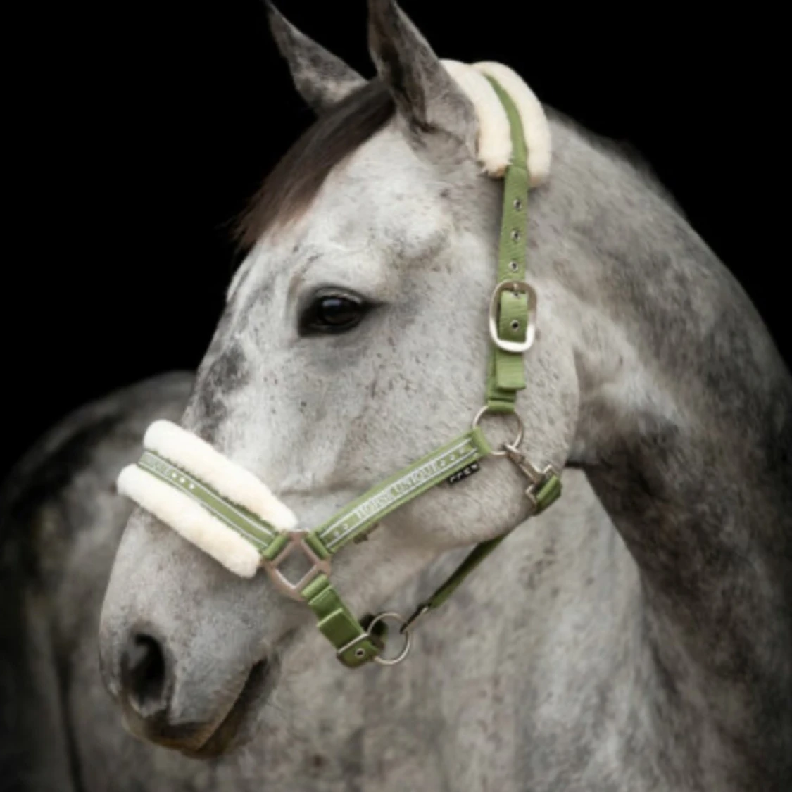 Grimma från horse unique - 3