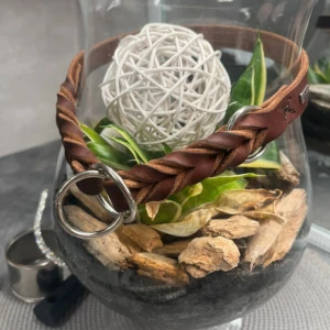 Brunt flätat hundhalsband från Hunter - Snyggt brunt flätat bälte från Hunter med en stilren design. Bältet har en silverfärgad ringdetalj och är tillverkat i skinn. Perfekt för att ge en extra touch till din outfit.
