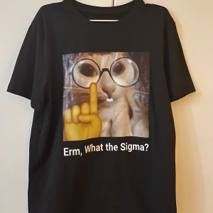 Svart t-shirt med kattmotiv, erm what the sigma - svart t-shirt med ett roligt kattmotiv och texten 'Erm, What the Sigma?'. Perfekt för dig som gillar humoristiska tryck. T-shirten har en normal passform och är kortärmad.
