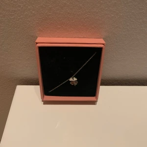 Fotlänk - Säljer en jättefin fotlänk från Edblad. Säljer den på grund av att jag har börjat ha guld 