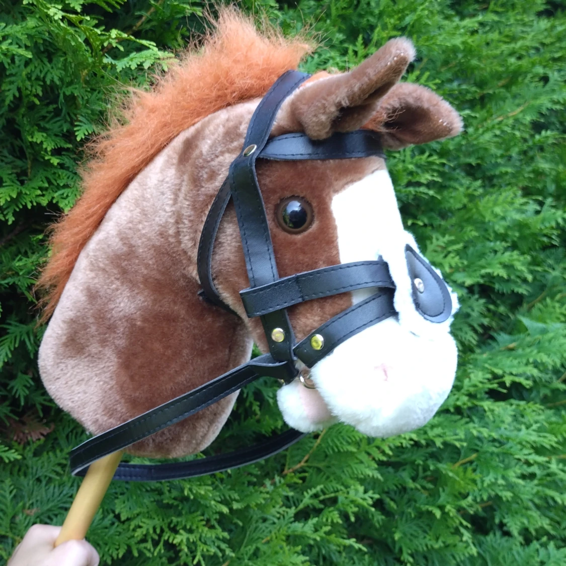 Fin käspphäst - 92