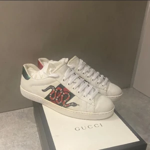 S0ker gucci ace - Söker gucci ace i storlek 44, skicka in allt!