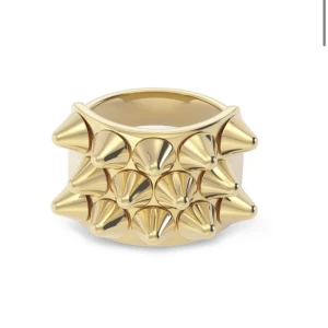 Guldfärgad ring med nitar - Säljer en cool guldfärgad ring med nitar. Ringen har en unik design med flera spetsiga nitar som ger en edgy look. Perfekt för att ge din outfit en tuff touch! från Edblad 🩷
