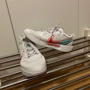 Nike court zoom pro