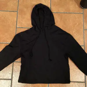 Hoddie 