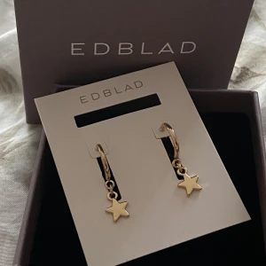 Superfina örhängen!! - Säljer dessa superfina örhängen som jag fått i present men aldrig använt! Därav vet jag inte riktigt vart de kommer ifrån❣️