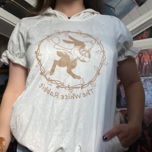 Kawaii hoodie  - Gullig hoodie i fint skick. Katt i hemmet. Köparen står för frakten. 