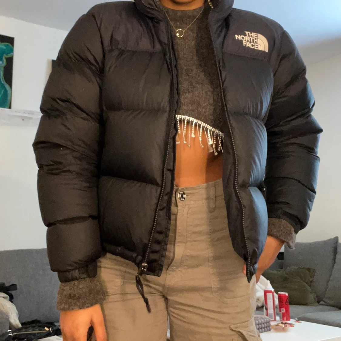 North face jacka  - 91