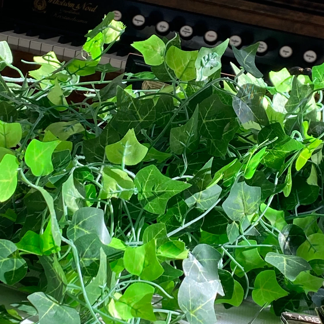 slingerväxter i plast - 90