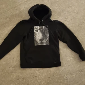 The cool Elephant - St Xs  Fint skick 