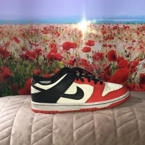 Dunk low chicago 75th. Jordan 1 - Väldigt bra skick. Ser så gott som nya ut. Boxen tillkommer. Köpta från restock. Ser ut som Jordan 1. Såklart äkta