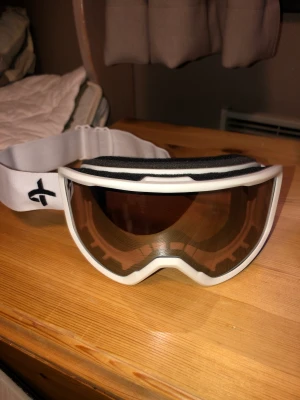 Skidglasögon  - Säljer dessa skidglasögon, endast använda en gång!