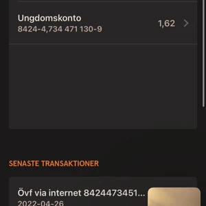 Neger Linus  - Jag e bög neger snap almiro04